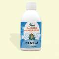 Elegante leo Banhos & Massagens Canela