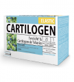 Cartilogen Elastic 20 Ampolas Dietmed