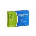 Cerebrum + Ginkgo Biloba Cpsulas