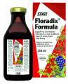 Floradix Elixir 250ml