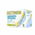 Sustenium Magnsio e Potssio 14 Saquetas