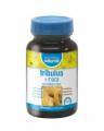 Dietmed Tribulus+Maca Cpsulas