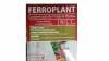 Ferroplant 60 Comprimidos