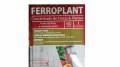 Ferroplant 60 Comprimidos