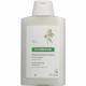 Klorane Champ Leite de Aveia 100ml (formato viagem)